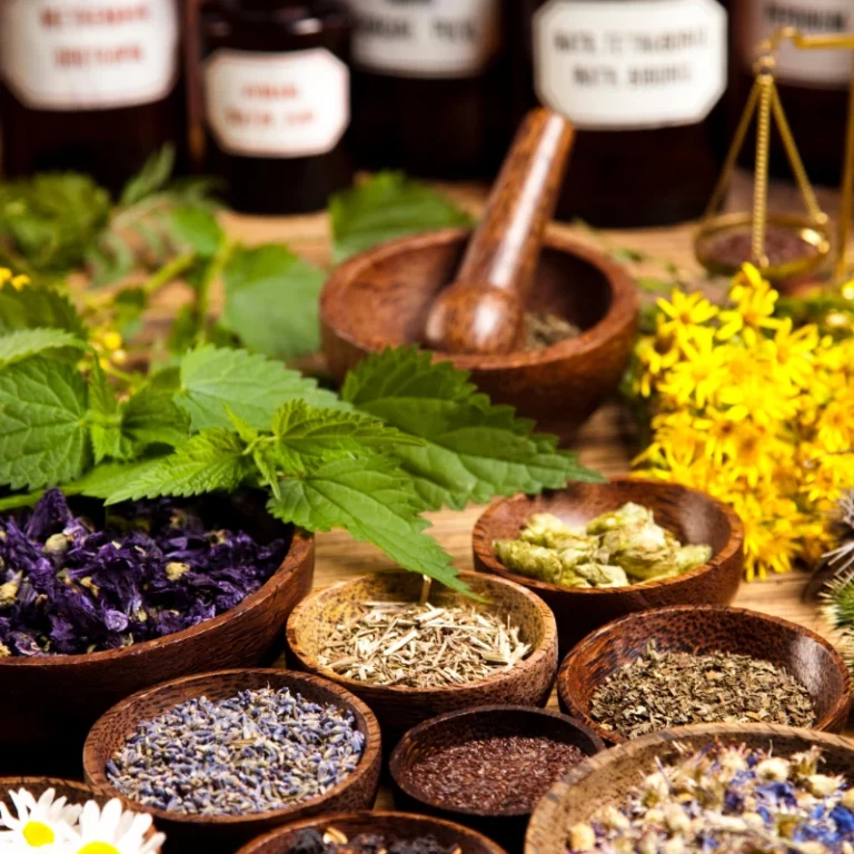 Types of Herbs and Their Uses